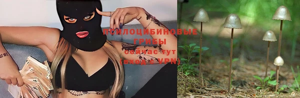 СК Аркадак