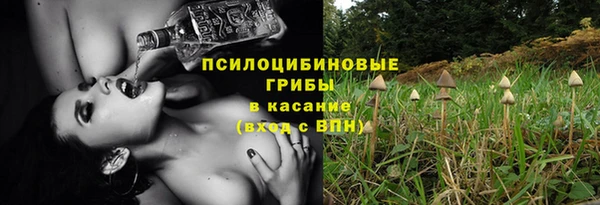 СК Аркадак