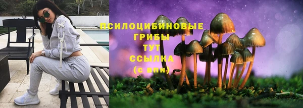 ECSTASY Арсеньев
