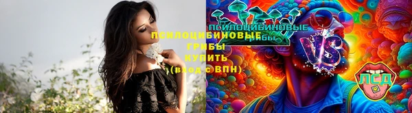 СК Аркадак