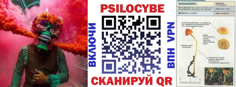 Галлюциногенные грибы MAGIC MUSHROOMS  закладки  Верхоянск 