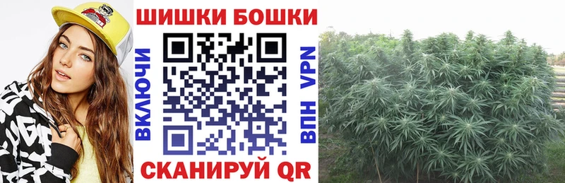 Шишки марихуана семена  Верхоянск 